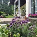 Apartment Sybillenort Blisko Wroclawia *