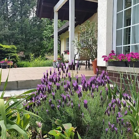 Appartement Sybillenort Blisko Wroclawia *