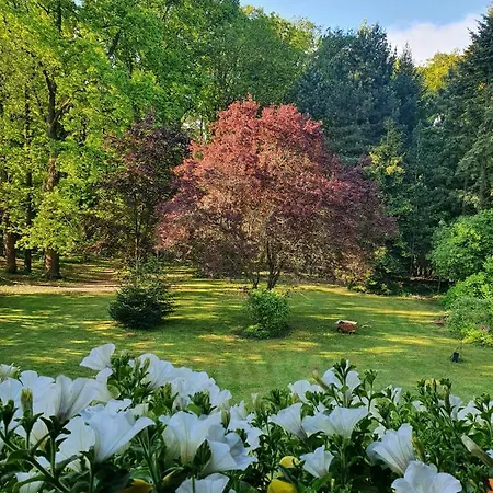 Sybillenort Blisko Wroclawia Appartement *