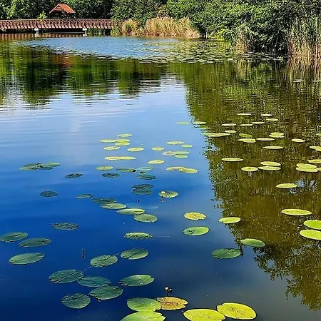 Appartement Sybillenort Blisko Wroclawia