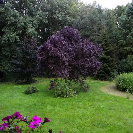 Sybillenort Blisko Wroclawia * Szczodre