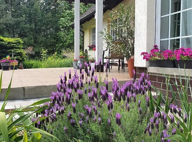 Apartment Sybillenort Blisko Wroclawia *