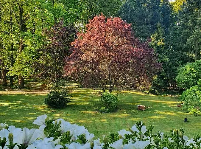 Sybillenort Blisko Wroclawia Apartment *