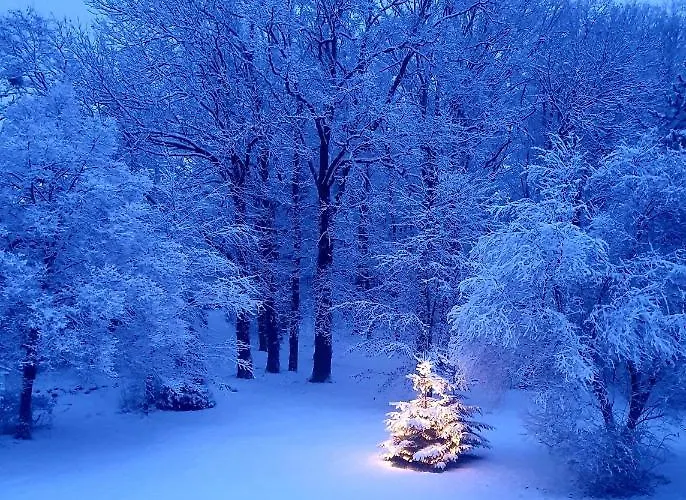 Sybillenort Blisko Wroclawia Apartment Szczodre