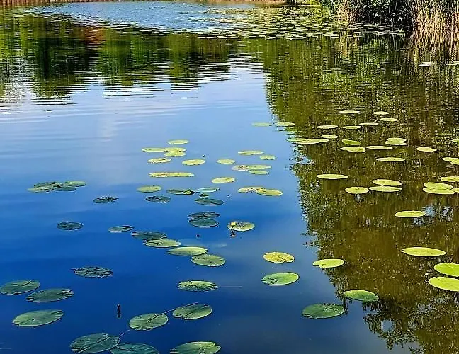 Apartment Sybillenort Blisko Wroclawia