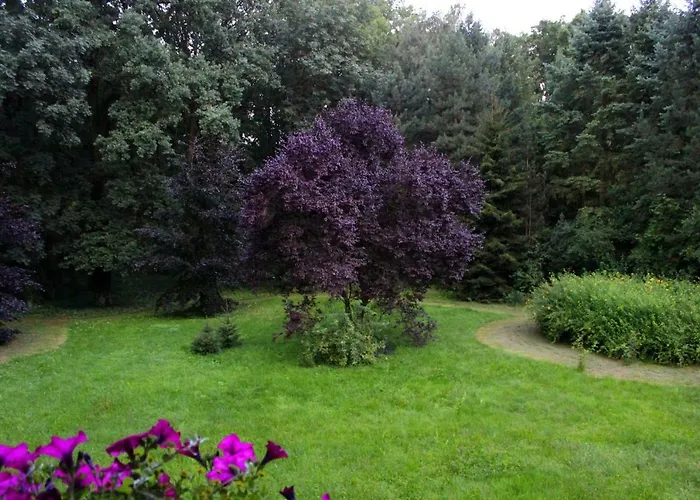 Sybillenort Blisko Wroclawia * Szczodre