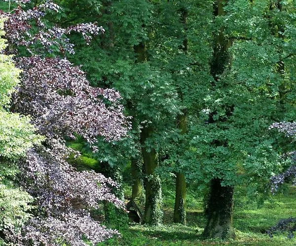 Sybillenort Blisko Wroclawia * Szczodre